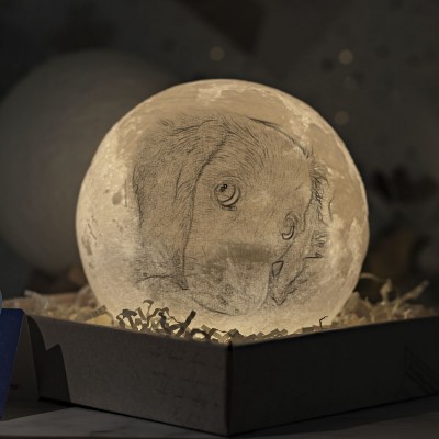 Personalised Moon Lamp 3D Photo Moonlight Touch Home Decor For Pet Dog Cat
