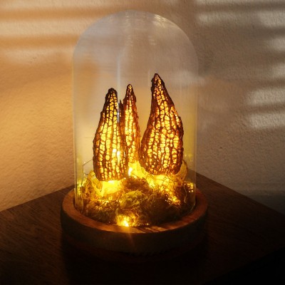 Enchanted Forest Mushroom Lamp For Home Decor Birthday Christmas Gift