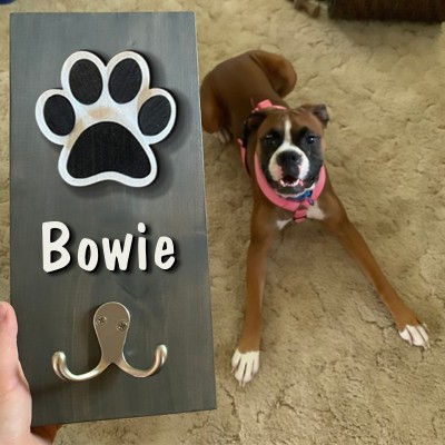 Personalised 3D Dog Paw Shiplap Leash Holder