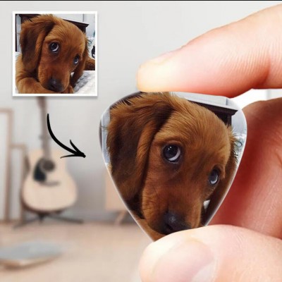 Personalised Guitar Pick with Photo For Pet Dogs